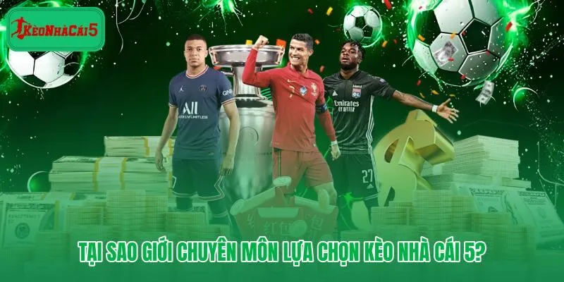 Biểu tượng thể hiện sự uy tín, minh bạch và giao diện người dùng